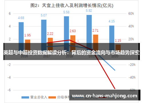 英超与中超投资数据解读分析:背后的资金流向与市场趋势探索 英超与中超投资数据解读分析:背后的资金流向与市场趋势探索