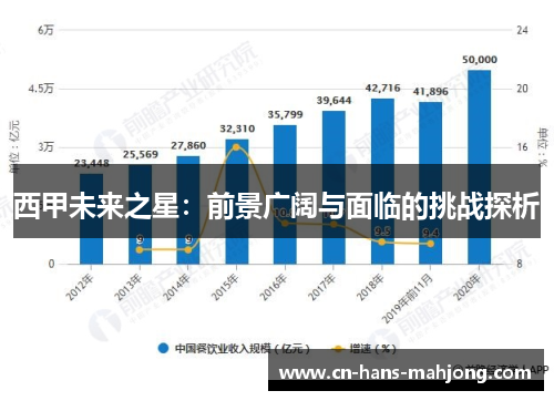 西甲未来之星：前景广阔与面临的挑战探析