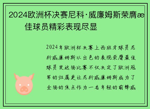 2024欧洲杯决赛尼科·威廉姆斯荣膺最佳球员精彩表现尽显