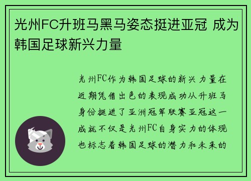 光州FC升班马黑马姿态挺进亚冠 成为韩国足球新兴力量