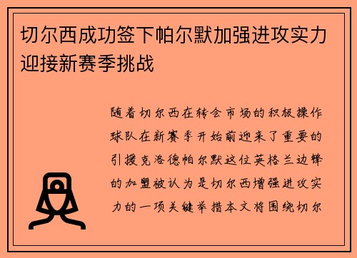 切尔西成功签下帕尔默加强进攻实力迎接新赛季挑战