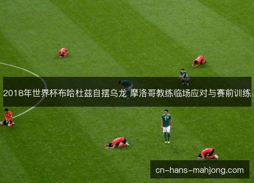 2018年世界杯布哈杜兹自摆乌龙 摩洛哥教练临场应对与赛前训练 2018年世界杯布哈杜兹自摆乌龙 摩洛哥教练临场应对与赛前训练